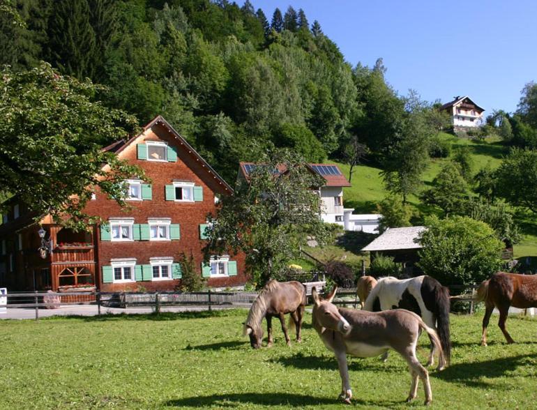 Hotel Gasthaus Schaefle Bürserberg Extérieur photo